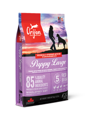 Puppy Large Breed